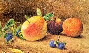 Hill, John William Study of Fruit oil on canvas